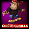 Cirkus Gorilla