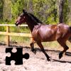Puzzle - Koně