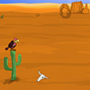 Sahara Desert Escape